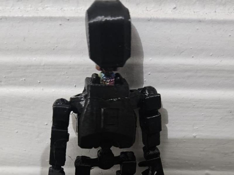 mini dummy 13