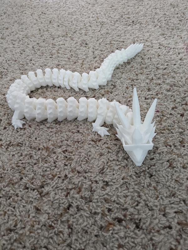 The Beach Dragon!
