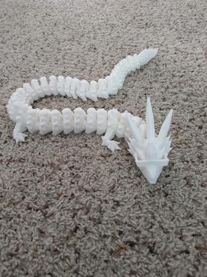 The Beach Dragon!
