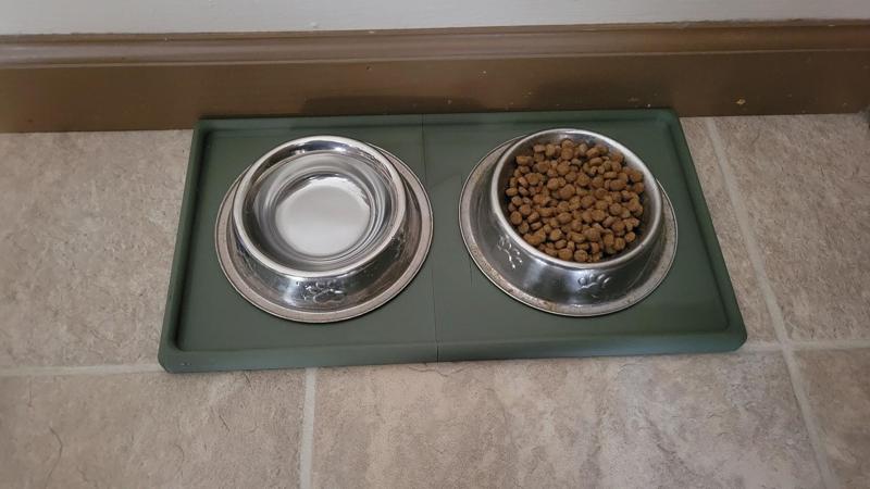 Cat Food Tray