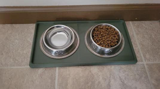 Cat Food Tray