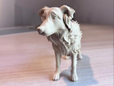 Australian Shepherd Dog Statue 