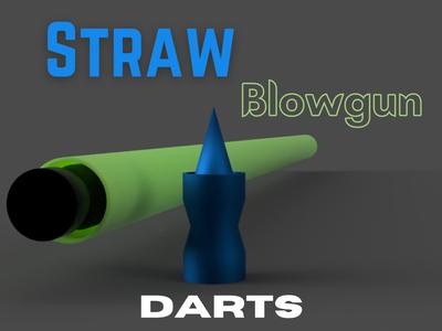 Straw Blowgun Darts