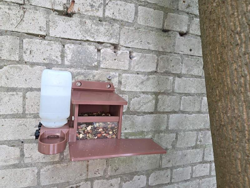 squirrel feeding house with/without drinking place