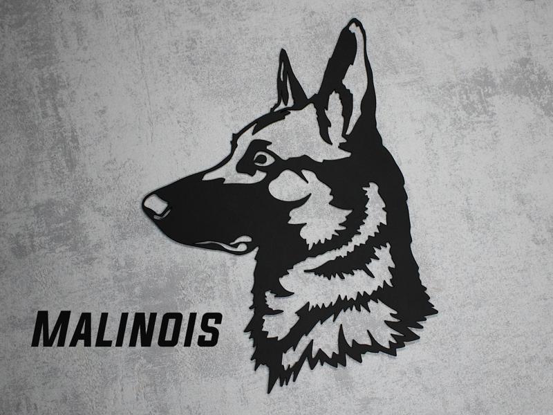 Malinois (Belgian shepherd) dog wall art