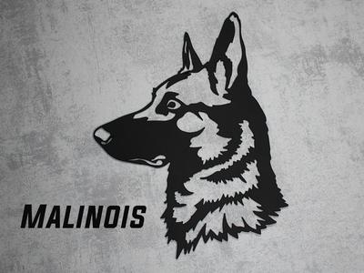 Malinois (Belgian shepherd) dog wall art