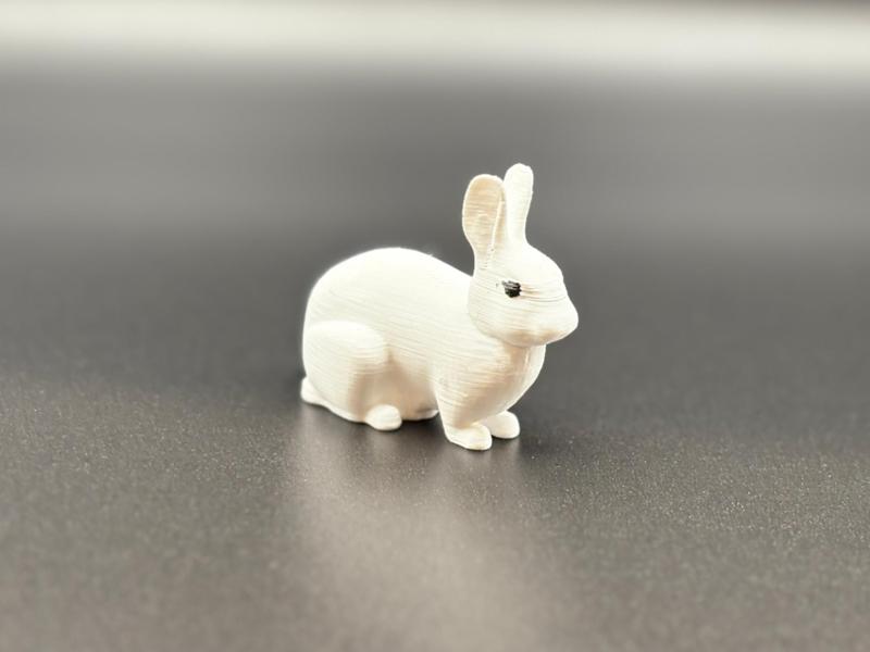 Rabbit