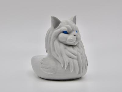 Maine Coon Cat Duck