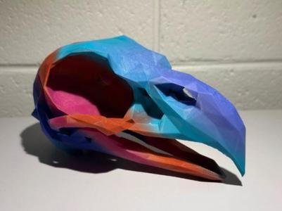 "American Bald Eagle Low Poly" Skull
