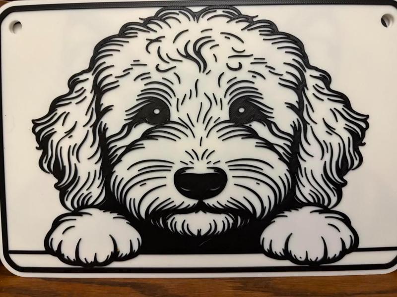 golden doodle 