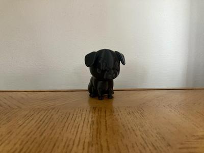 Cute Pug