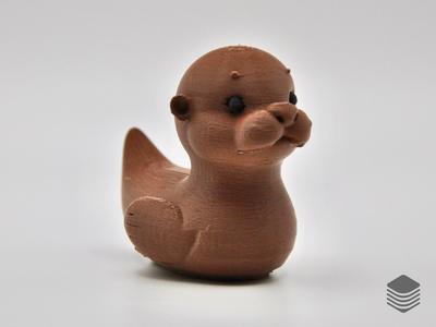 Otter Duck