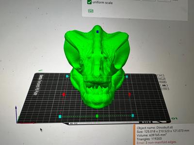 Dino Skull