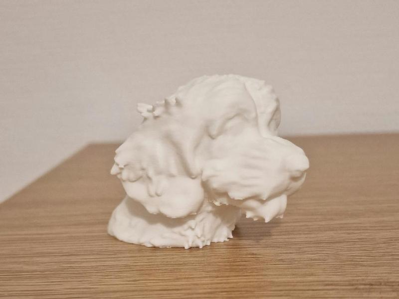 Cavapoo Pup model