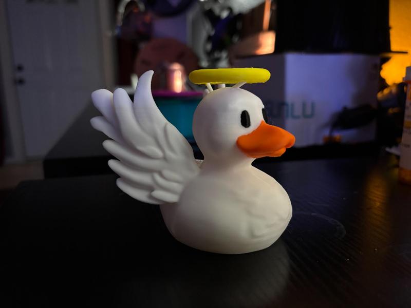 Angel Duck
