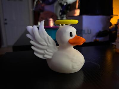 Angel Duck