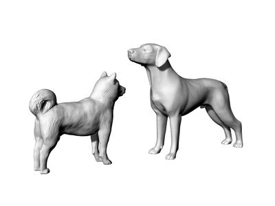 Dogs Doggo Doggy 