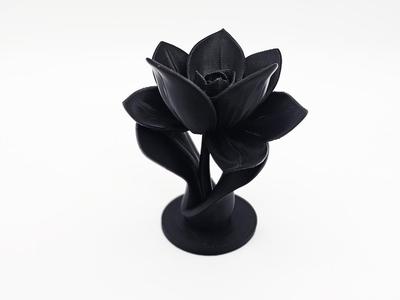Beautiful Flower