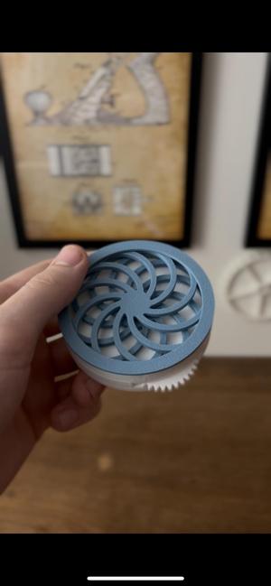 Gerridae - Illusion Fidget (Free for this week only)