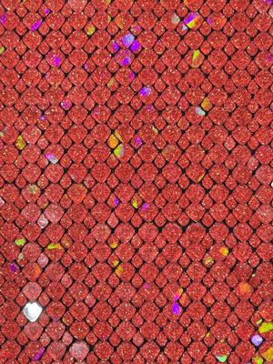 Dragon Scales S/M/L