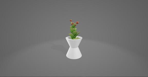 Dual Cone Vase