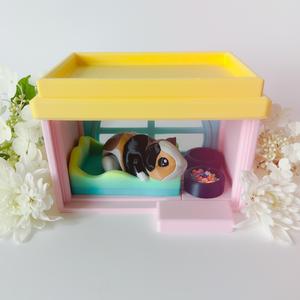 Guinea Pig Flexi with Home