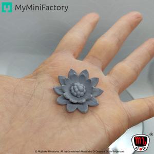 FREE Lotus Flower | Symbol Of Peace, Transformation, Rebirth, Purity...
