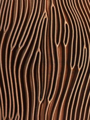 Capillary Vases for Standard Printing
