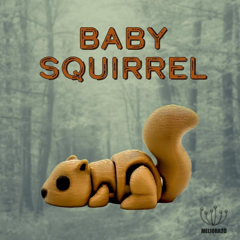M3D - Baby Squirrel