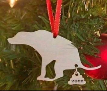 Funny Dog for old year 2022