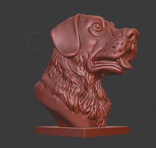 Labrador Retriever bust (Dog head)