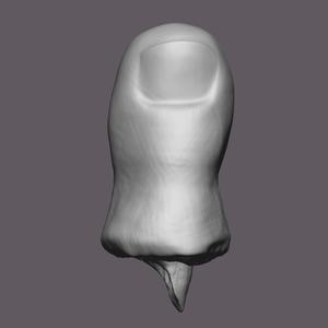 Severed Toe 3D Print Model