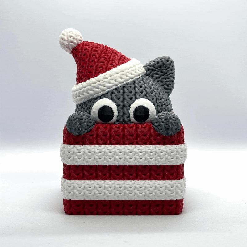 Knitted Cat Gift Box