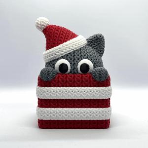Knitted Cat Gift Box