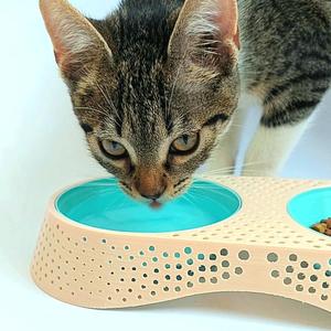 CAT BOWLS