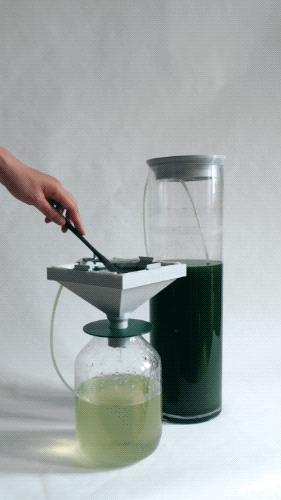 Spirulina Harvesting Funnel