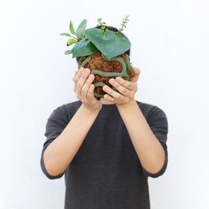 KOKEDAMA GYROID