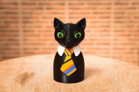 Responsible Cat Money Box