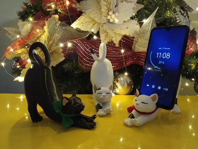 Cat Phone Holder - Gato Portacelular