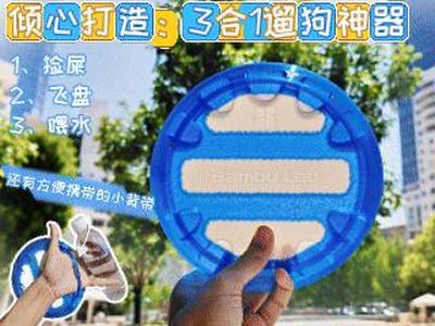 3-in-1 Dog Walking Gadget