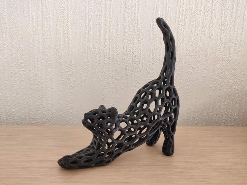 Cat Stretch Voronoi Remix
