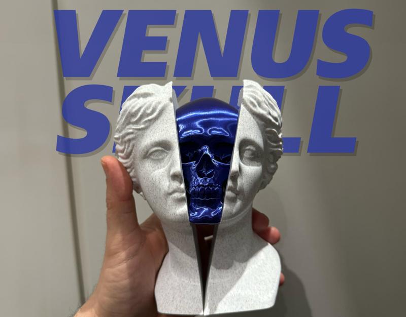 VENUS SKULL 
