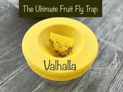 Fruit Fly Trap 