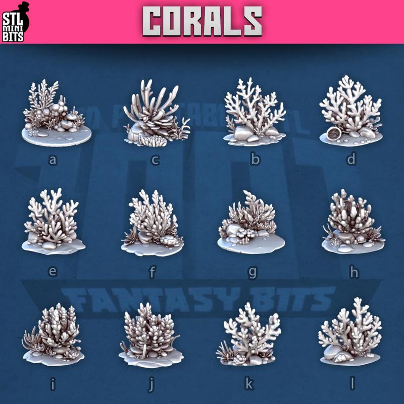 1001 - Corals