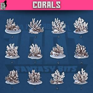 1001 - Corals