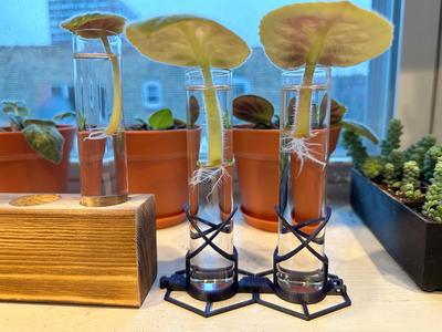Propagation Tube Holder for 1" Tubes