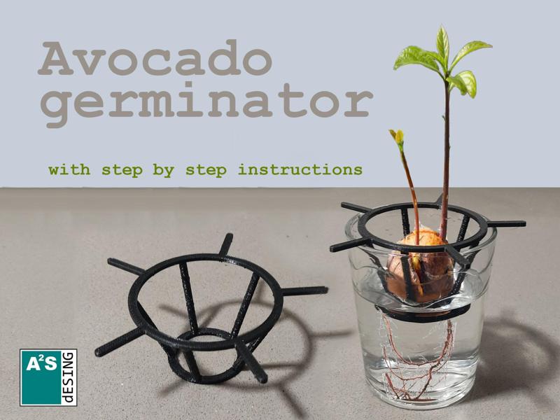 Avocado germinator
