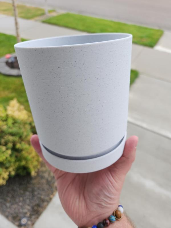 Plant Pot