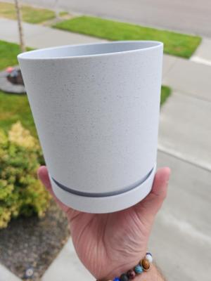 Plant Pot
