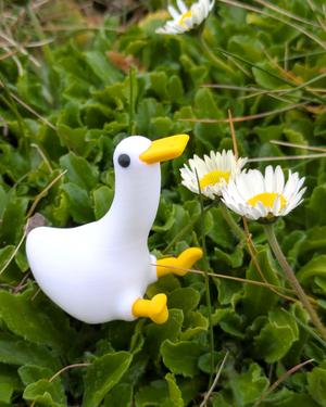Buck the Wingless Duck // Rejected Animals